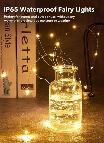 Brightown 12-Pack LED Fairy String Lights