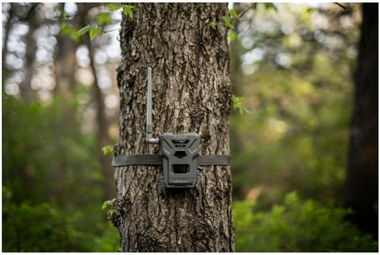 SPYPOINT Flex-M Cellular Trail Cameras