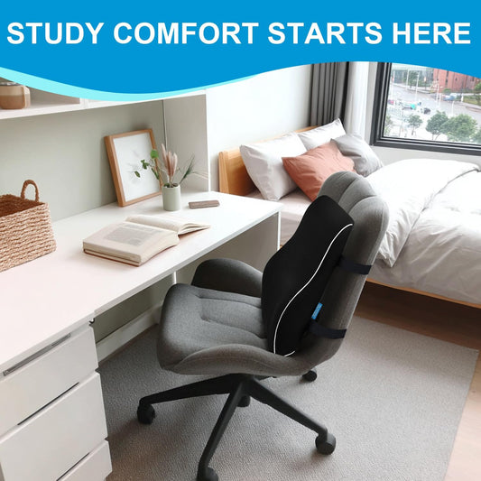 Lumbar Support Pillow Chair Back Pain Relief
