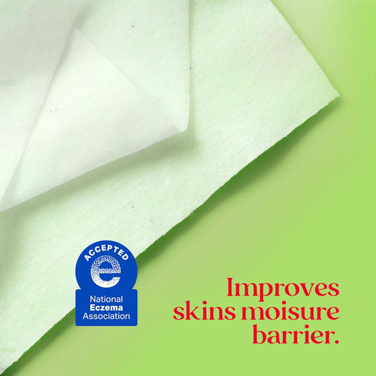 Burt's Bees Aloe Vera Face Wipes Makeup Remover