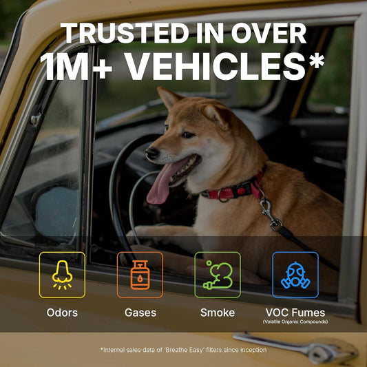 Spearhead Odor Defense Cabin Air Filter