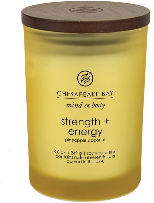Chesapeake Bay Candle Medium Jar Scented Candle