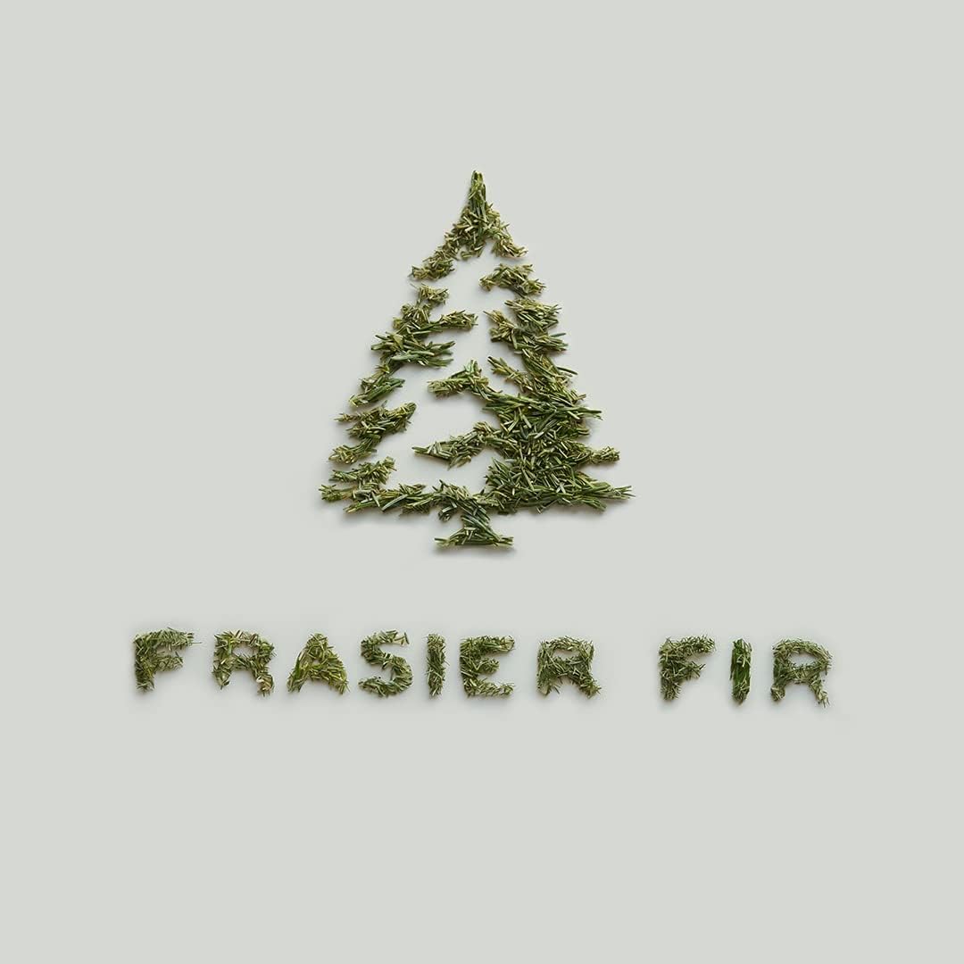 Thymes Frasier Fir Pine Needle Candle for Home
