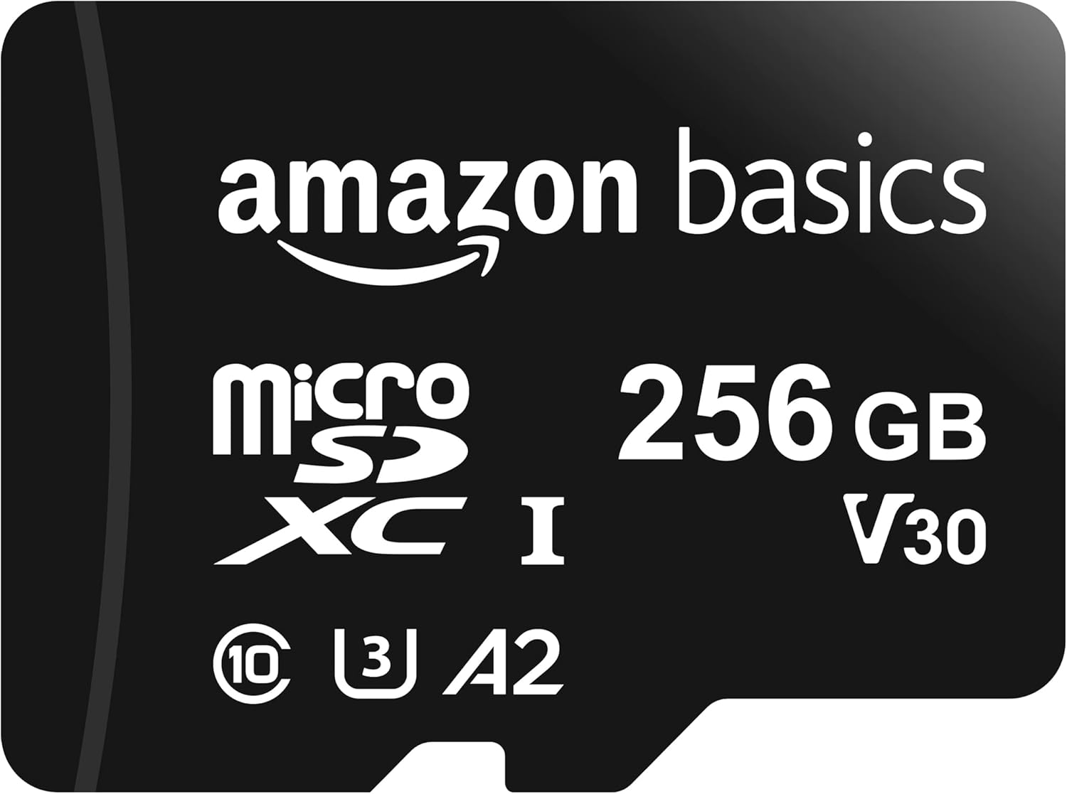 Micro SDXC Memory Card with Full Size Adapter