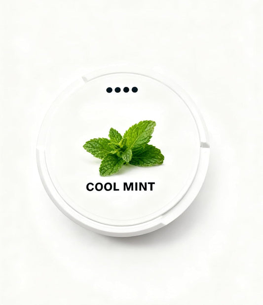 5Pack Plastic Storage Pouche Can