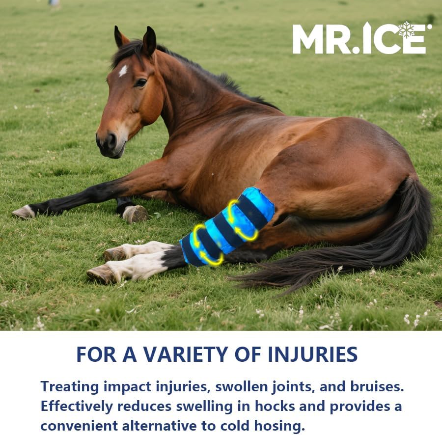 Horse Ice Boots Reusable Gel Horses Ice Pack