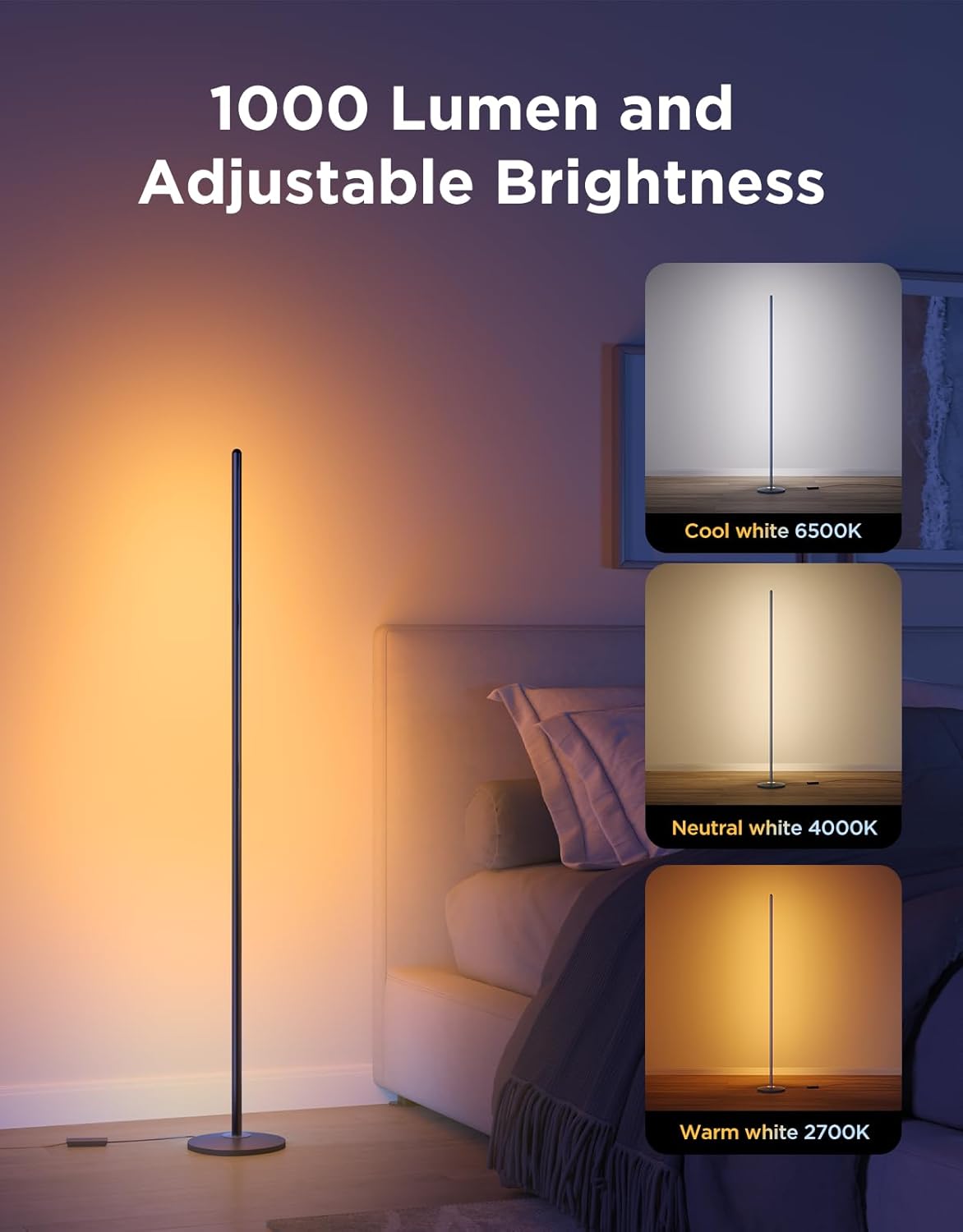 Govee RGBIC LED Floor Lamp