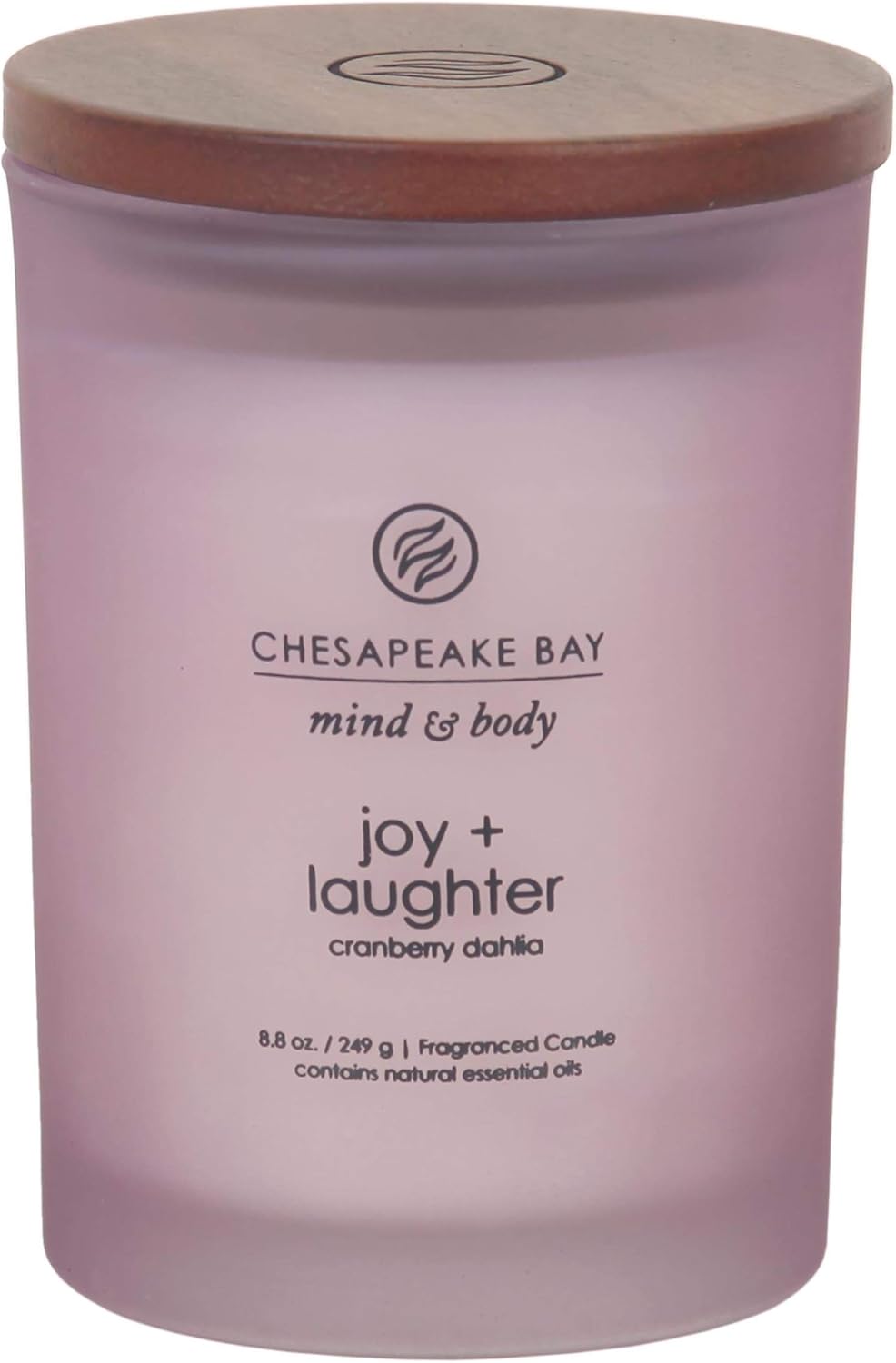 Chesapeake Bay Candle Medium Jar Scented Candle