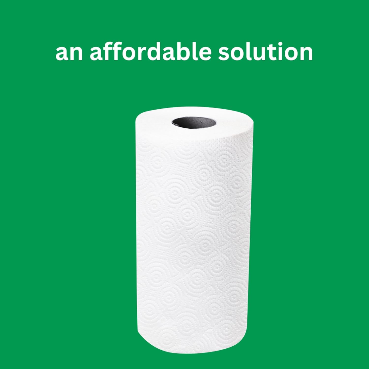 2-Ply Paper Towels 12 Rolls Flex