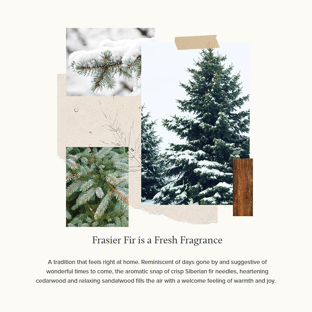 Thymes Frasier Fir Pine Needle Candle for Home
