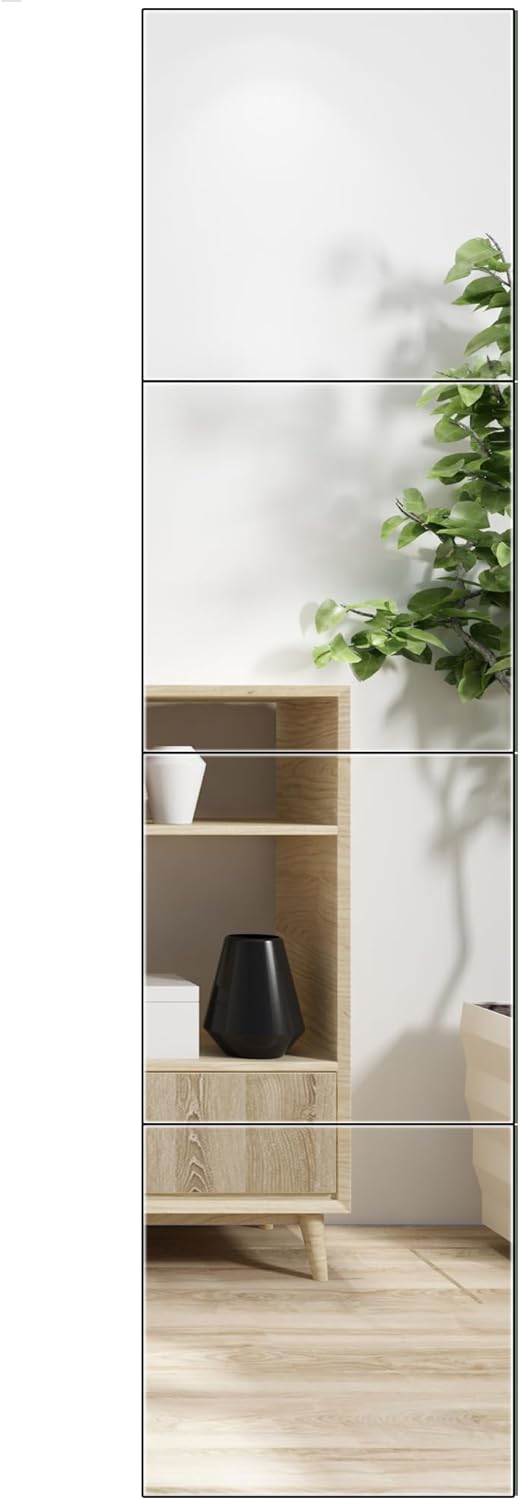 Ruomeng Home Gym Mirrors Wall Mounted