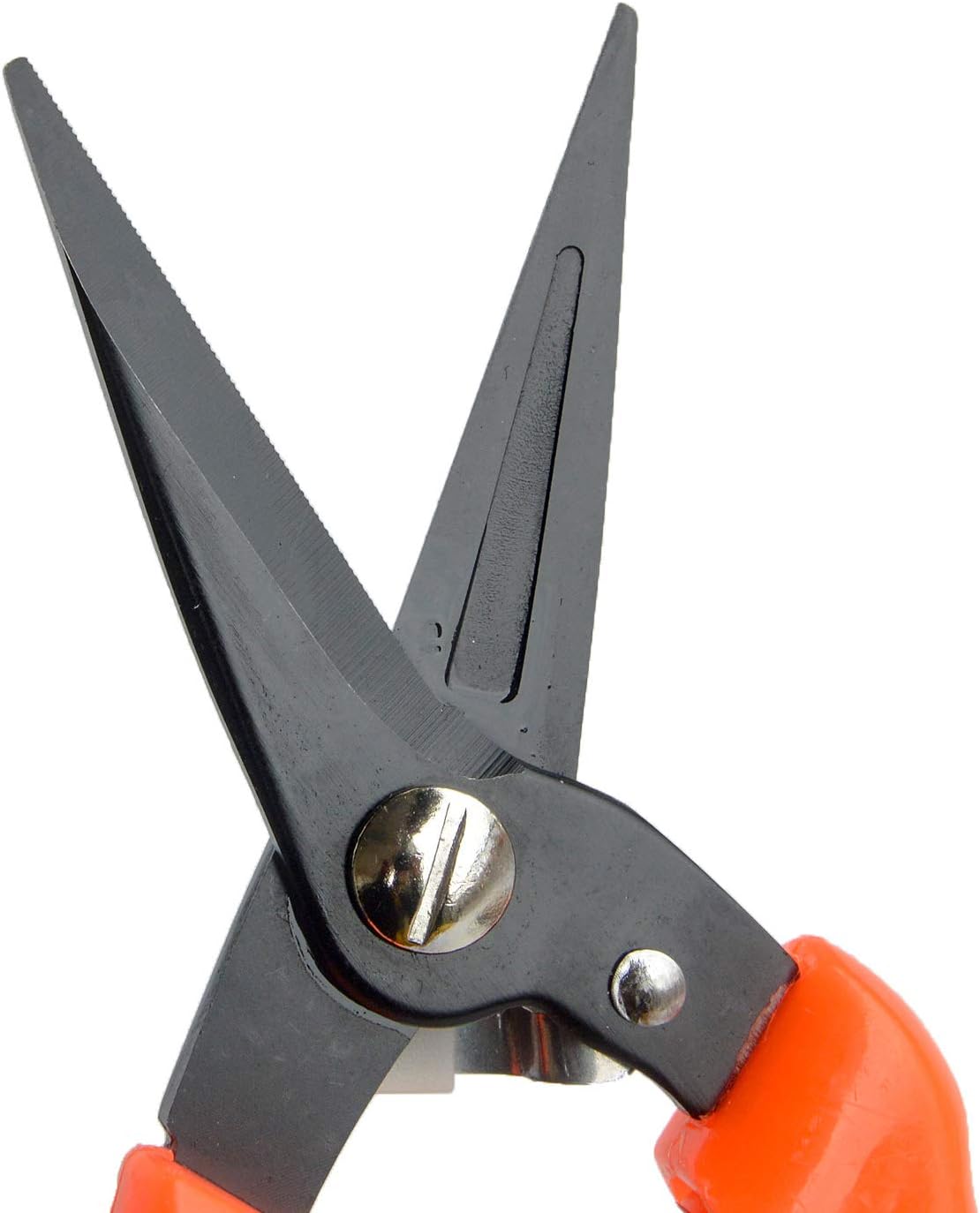 Hoof Trimmers Goat Hoof Trimming Shears Nail