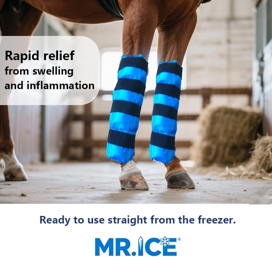 Horse Ice Boots Reusable Gel Horses Ice Pack