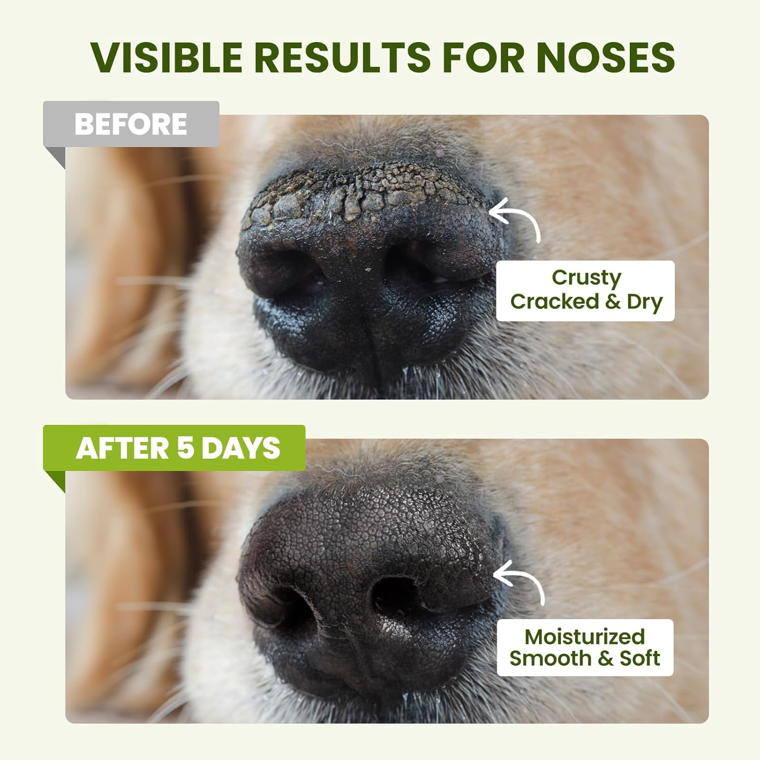 Lick-Safe Dog Paw & Nose Balm Stick with Coconut Oil