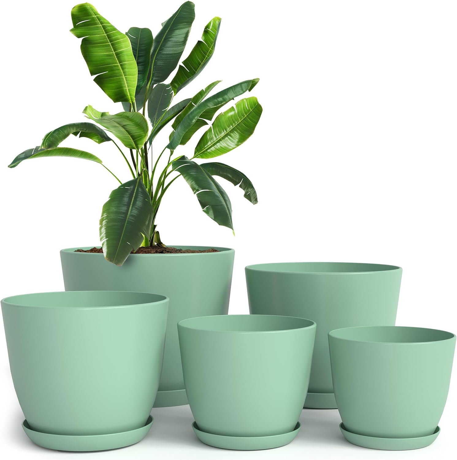 Utopia Home Plant Pots Indoor with Drainage Holes