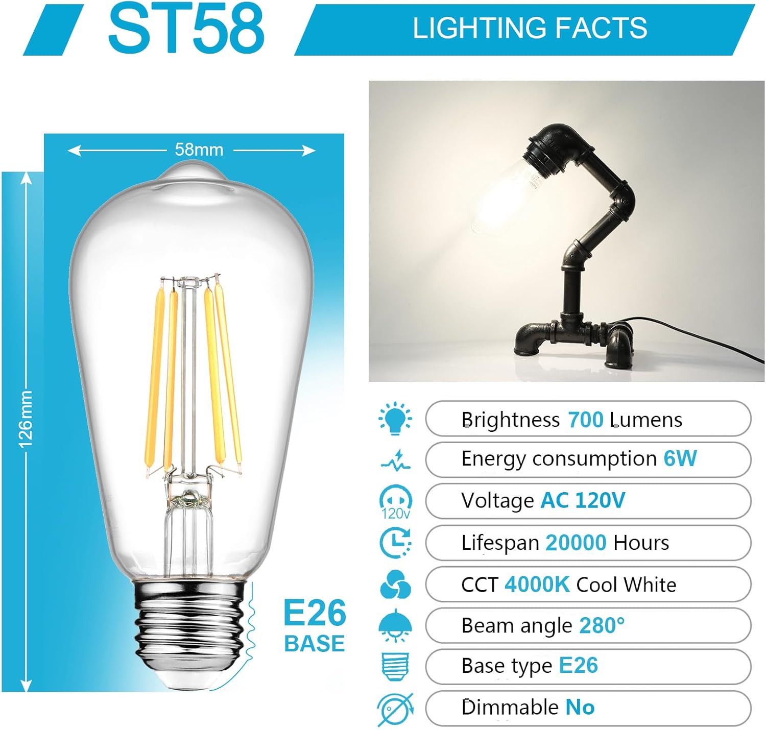 Ascher Vintage LED Edison Bulbs