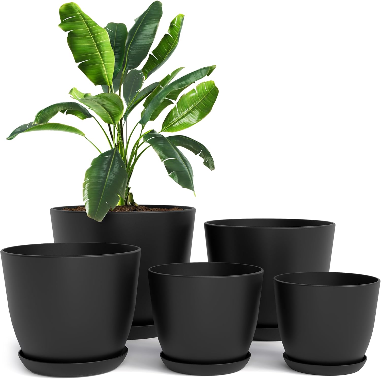 Utopia Home Plant Pots Indoor with Drainage Holes