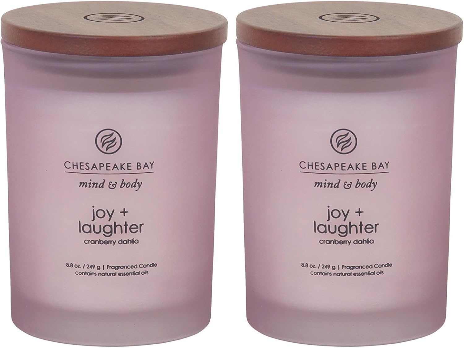 Chesapeake Bay Candle Medium Jar Scented Candle