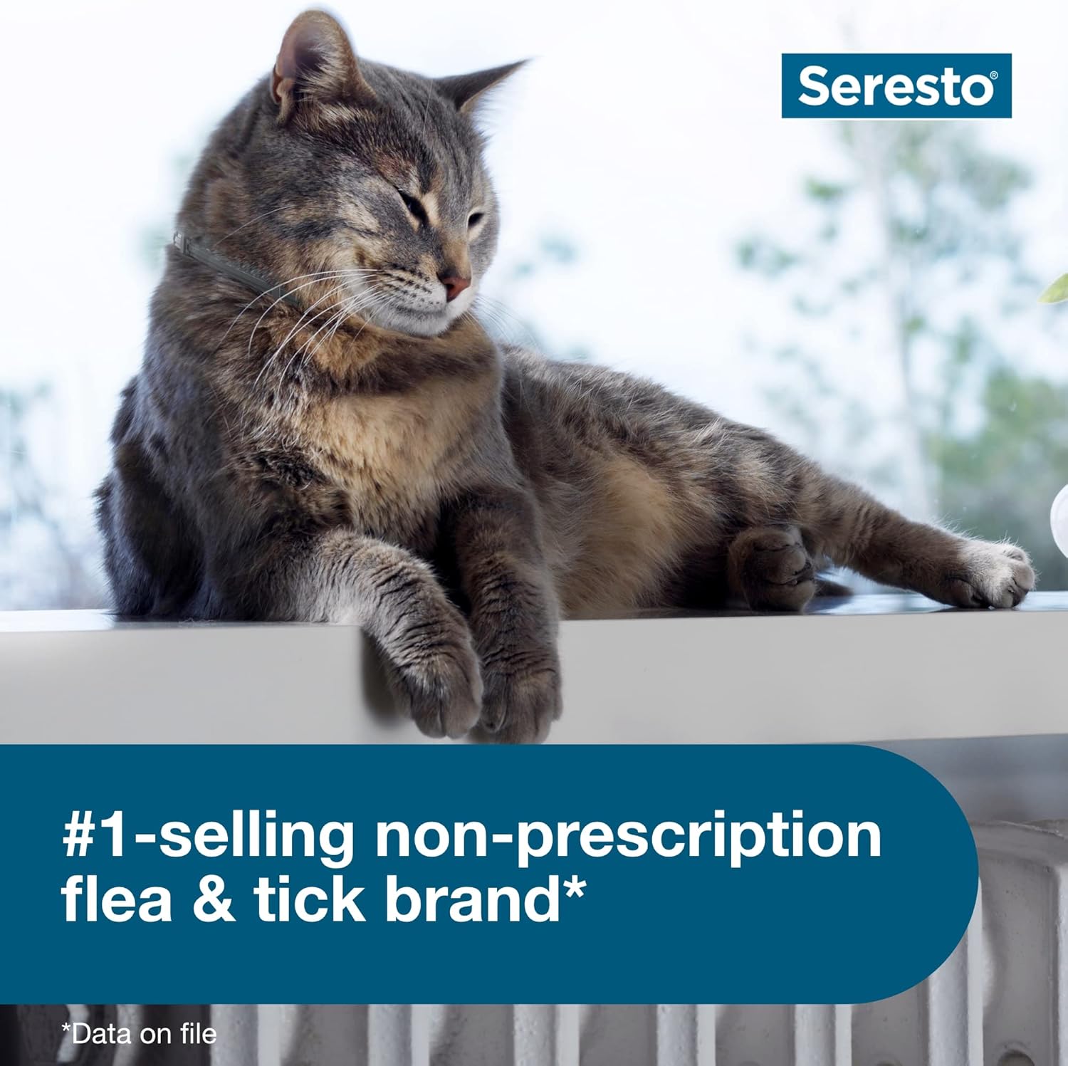 Seresto Cat Flea & Tick Collar