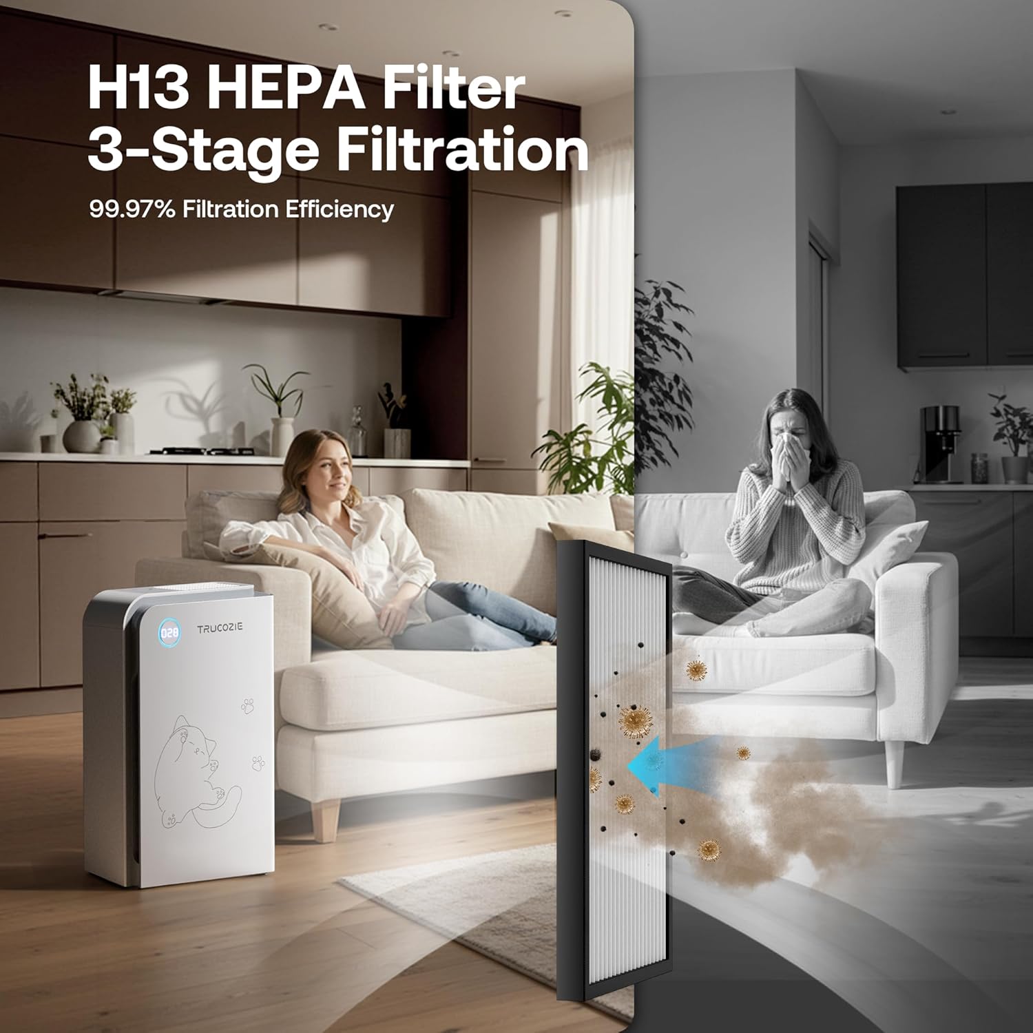 Large Room Air Purifier for Cats & Dogs