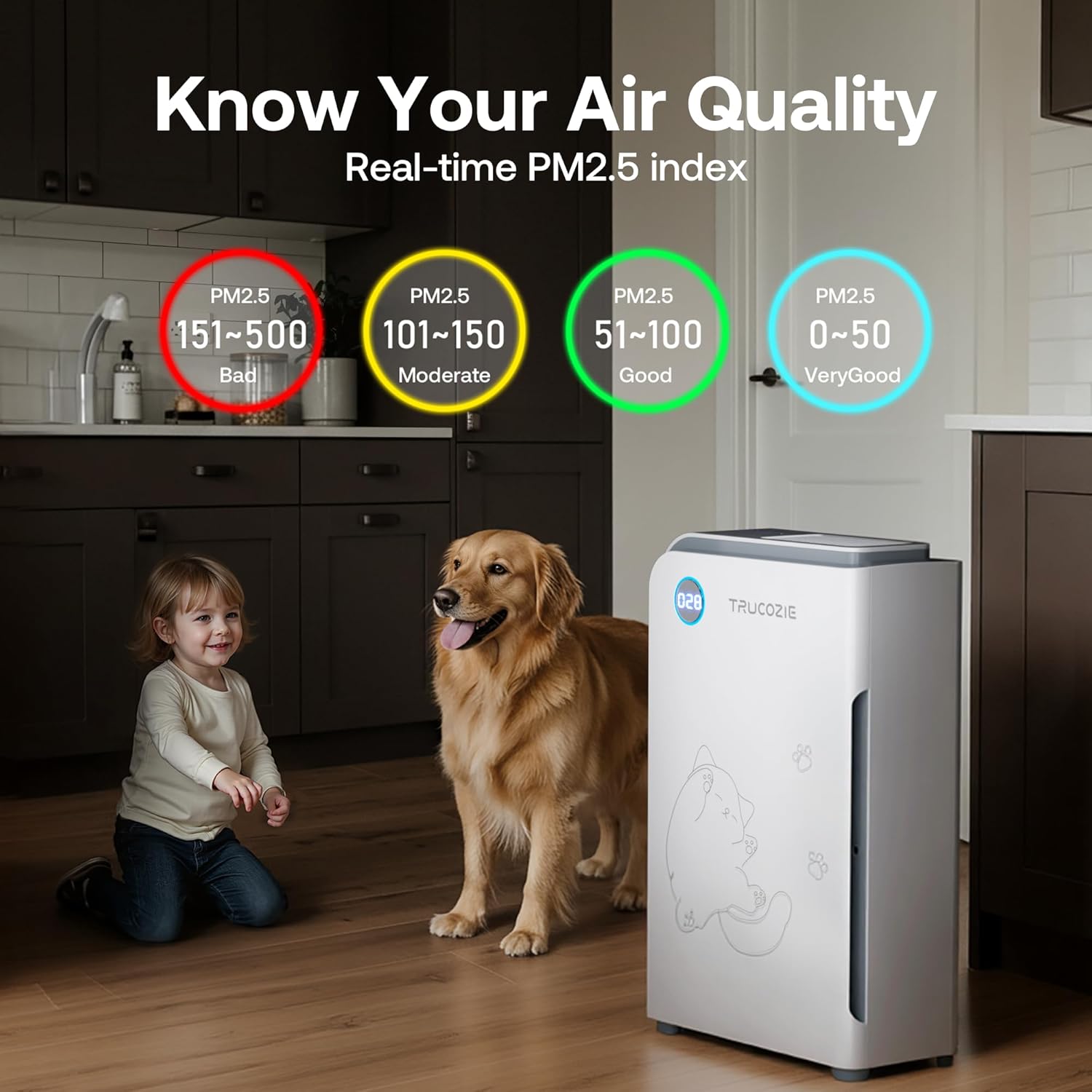 Large Room Air Purifier for Cats & Dogs