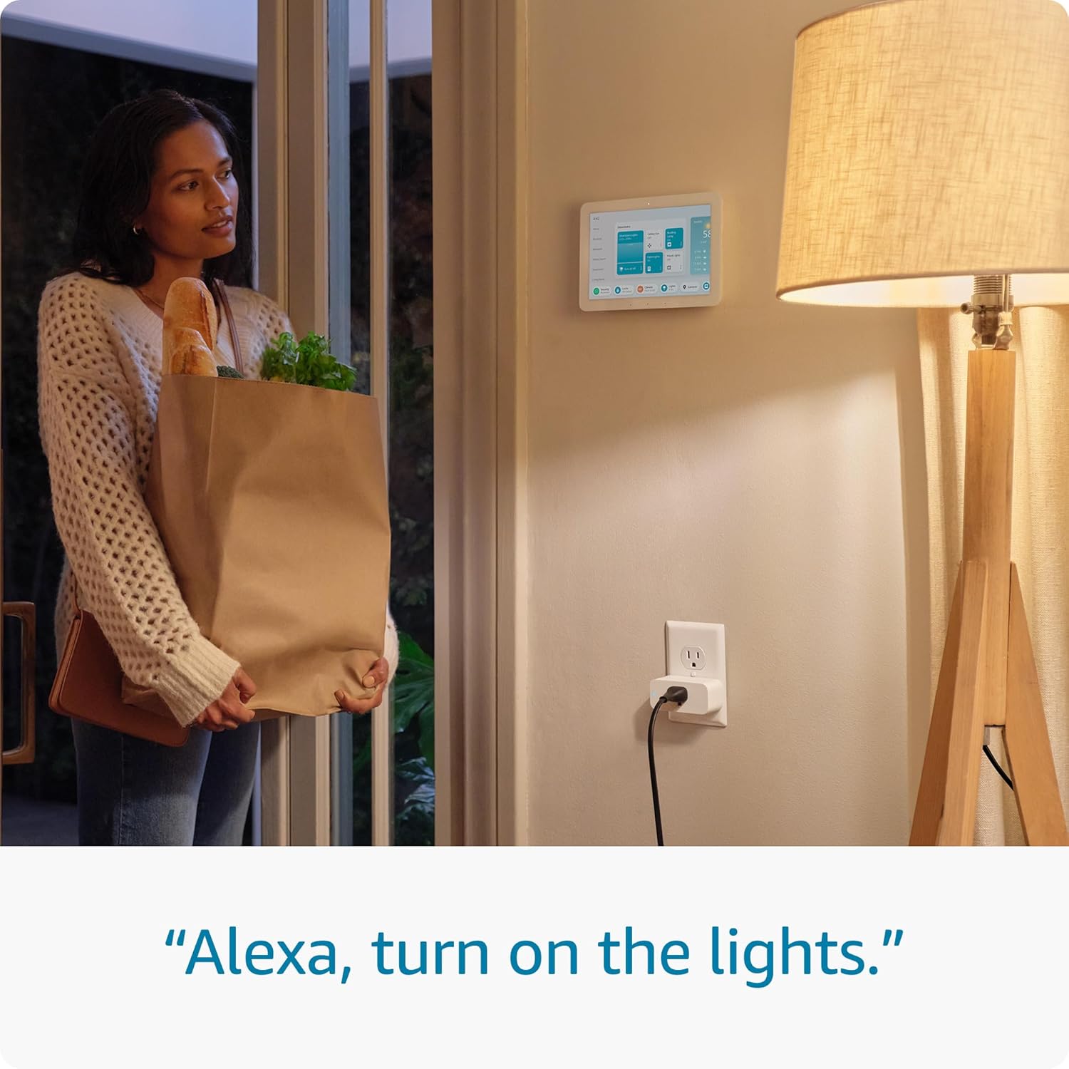 Amazon Smart Plug – Alexa Compatible