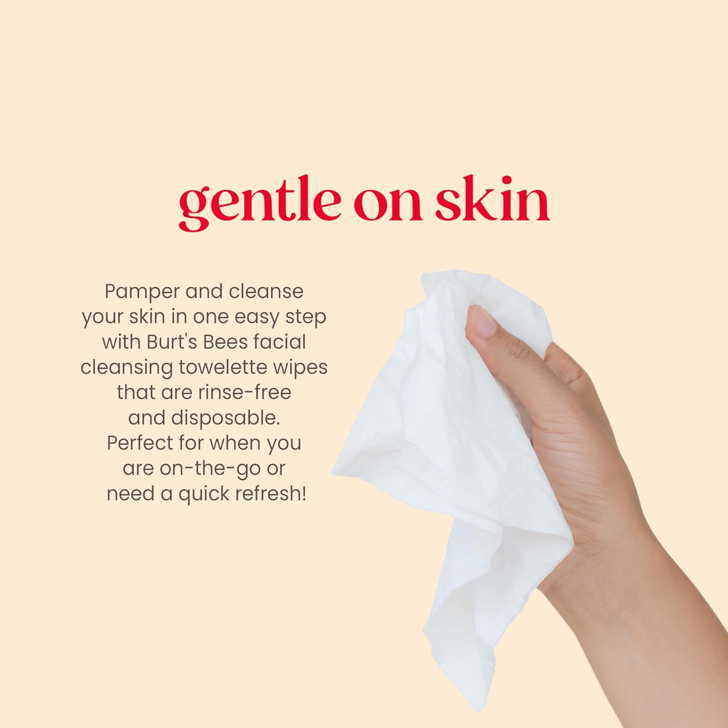 Burt's Bees Aloe Vera Face Wipes Makeup Remover