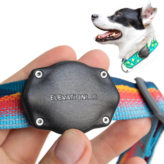 Elevation Lab TagVault AirTag Dog Collar Mount
