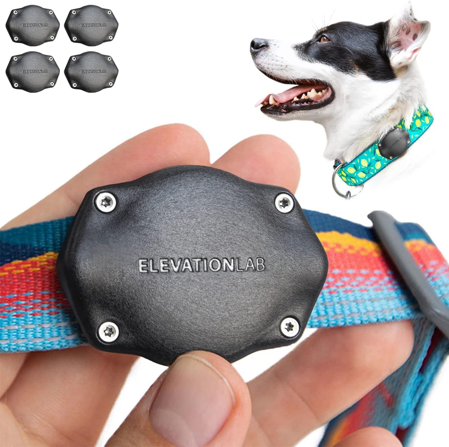 Elevation Lab TagVault AirTag Dog Collar Mount