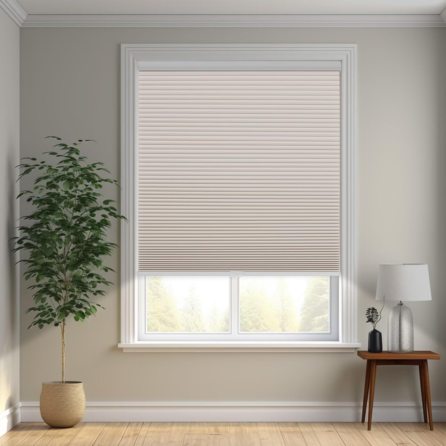 Changshade Cordless Cellular Shades for Windows