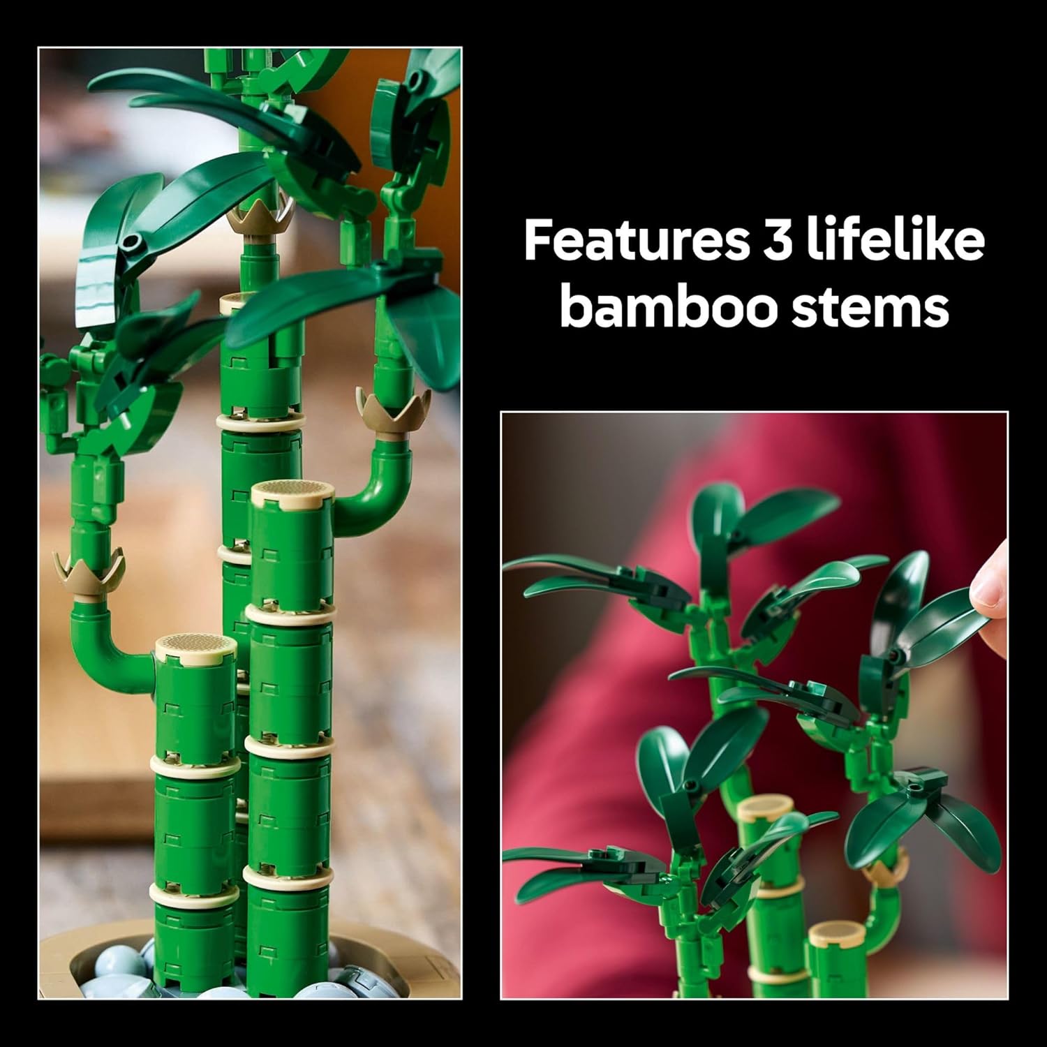 LEGO Botanicals Lucky Bamboo Building Set