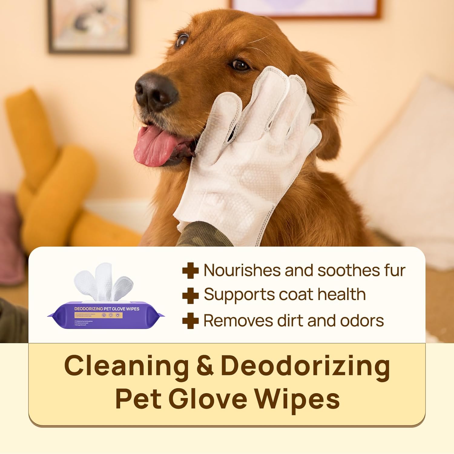 HICC PET Cleaning Deodorizing Glove Wipes for Dogs & Cats