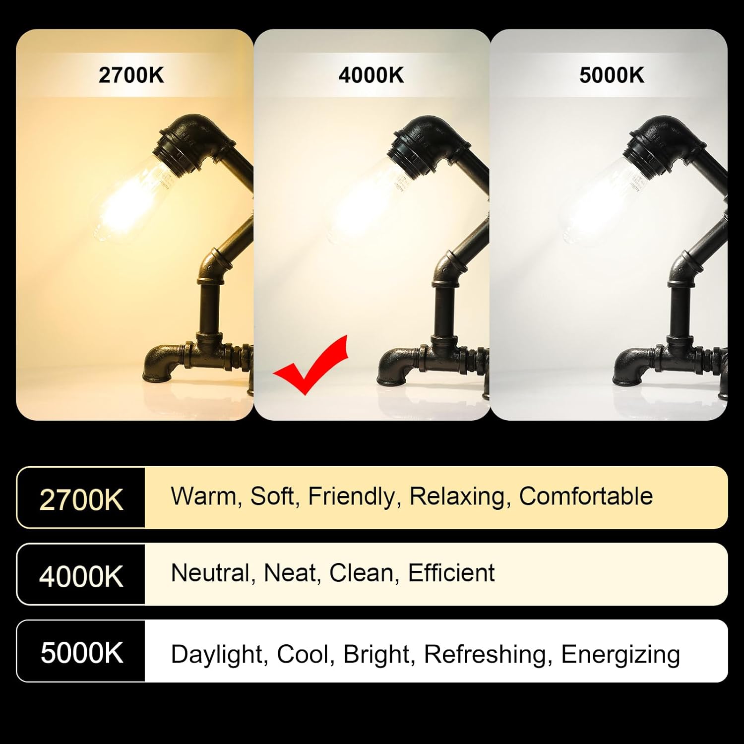 Ascher Vintage LED Edison Bulbs