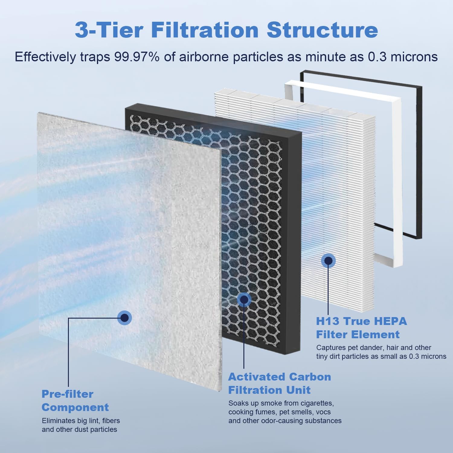 2 Pack Vital 100 True HEPA Replacement Filter