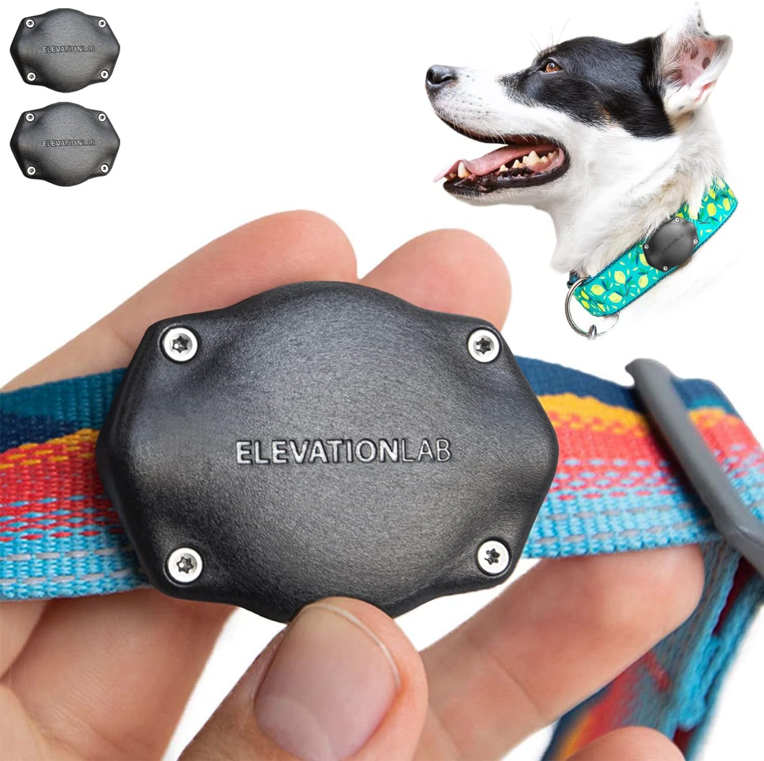 Elevation Lab TagVault AirTag Dog Collar Mount