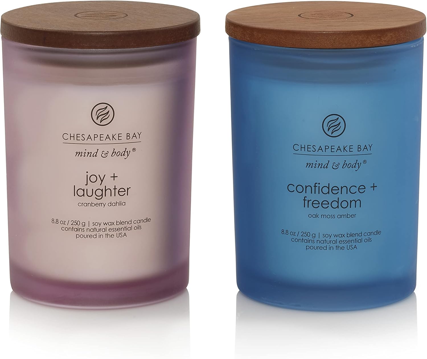 Chesapeake Bay Candle Medium Jar Scented Candle