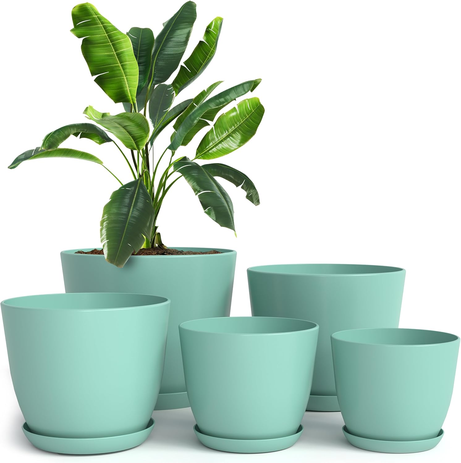 Utopia Home Plant Pots Indoor with Drainage Holes