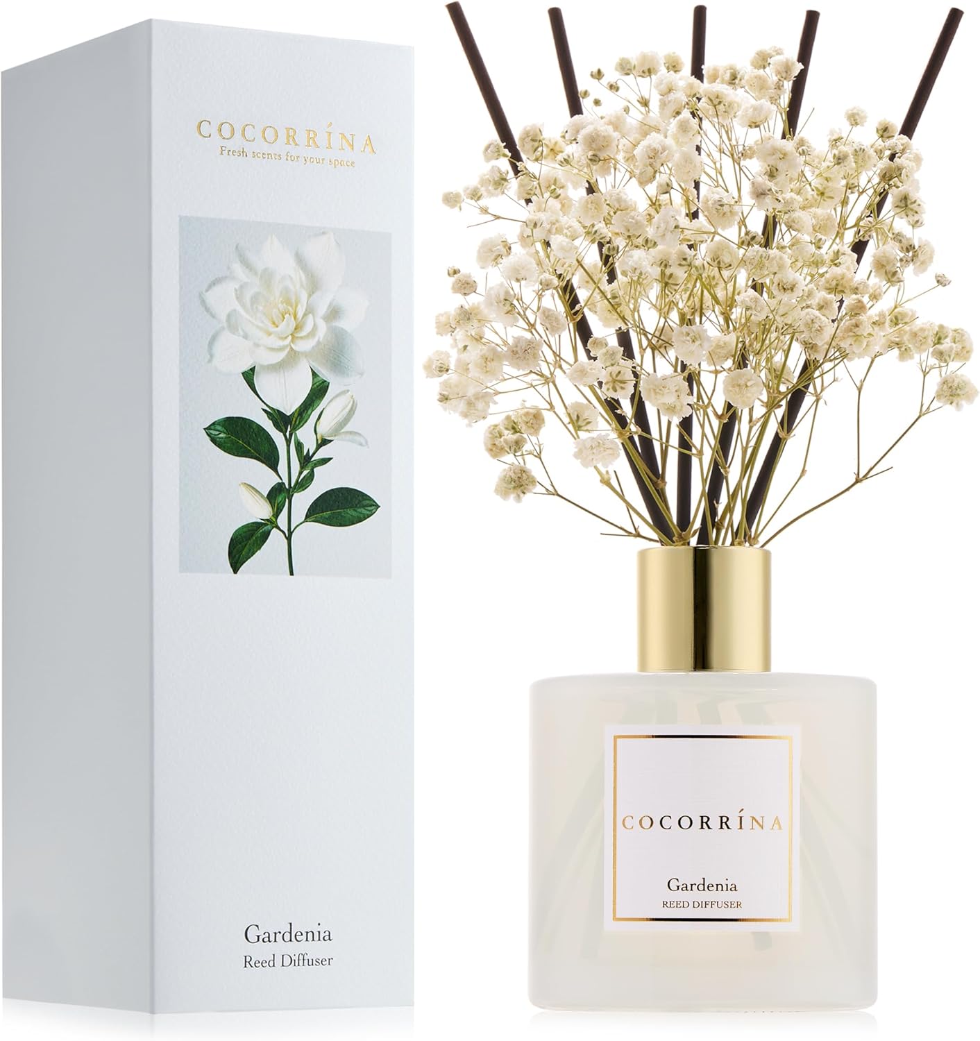 Cocorrína Reed Diffuser Set