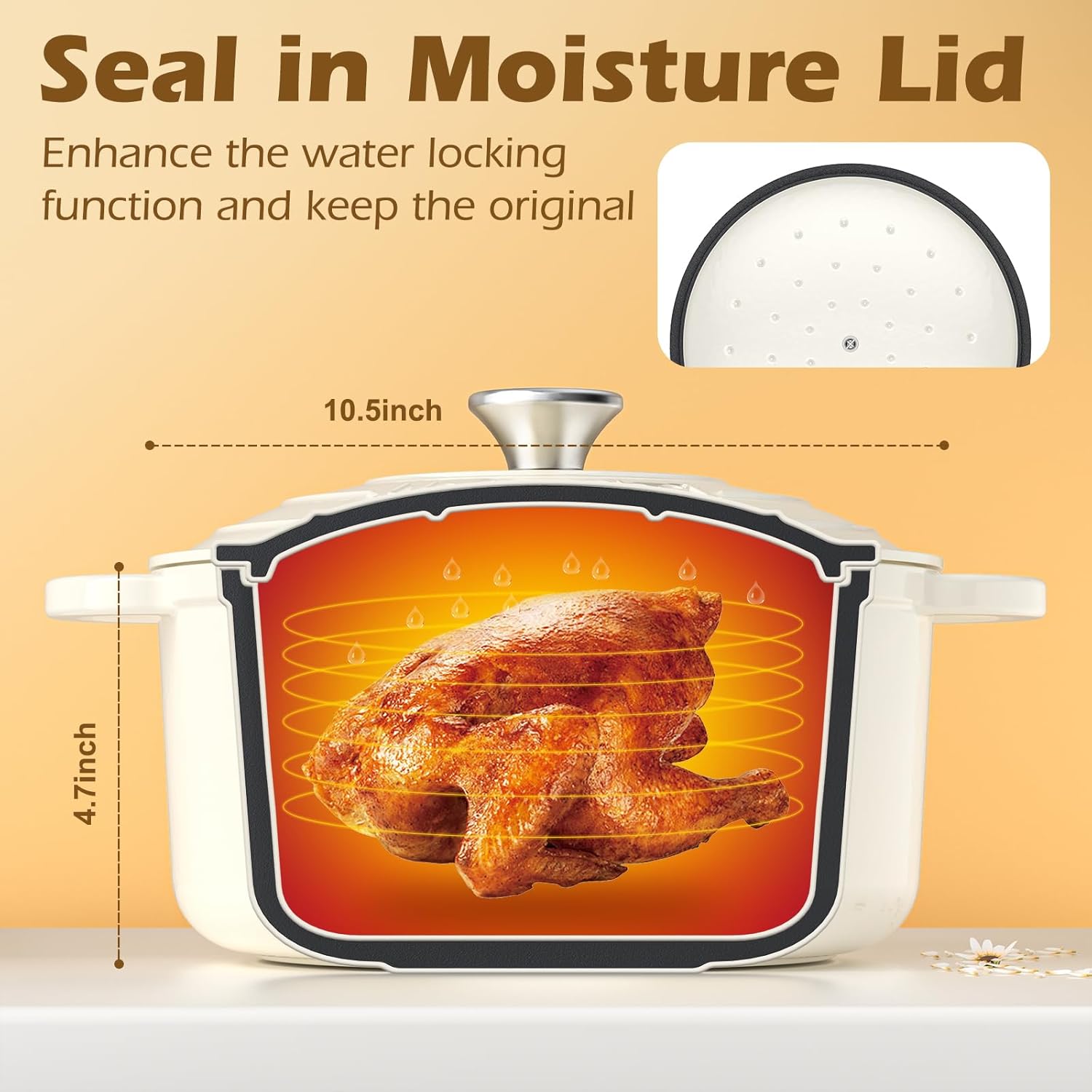 Enameled Cast Iron Dutch Oven