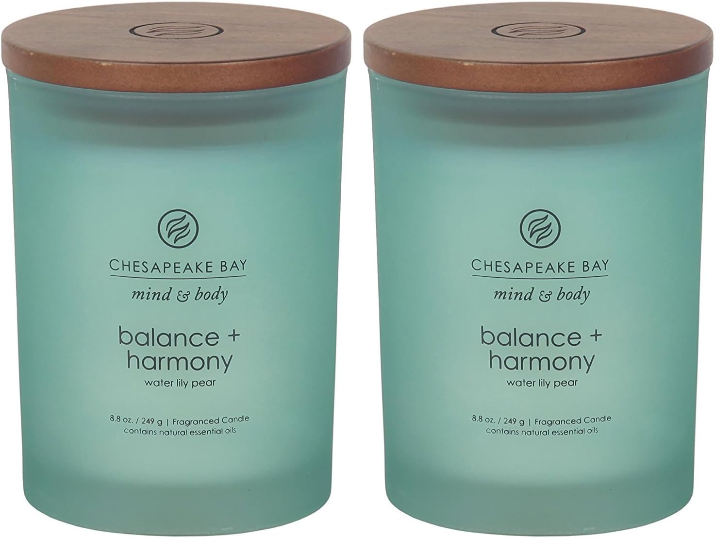 Chesapeake Bay Candle Medium Jar Scented Candle