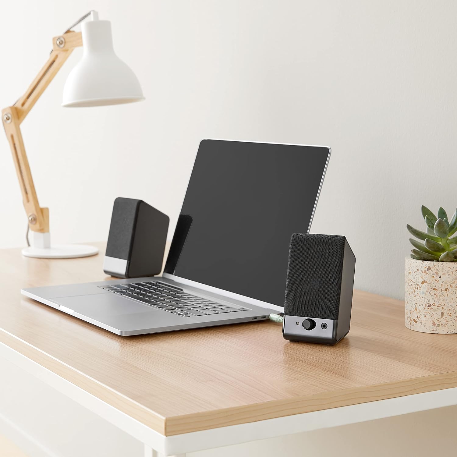 USB-Powered Computer Speakers or Laptop