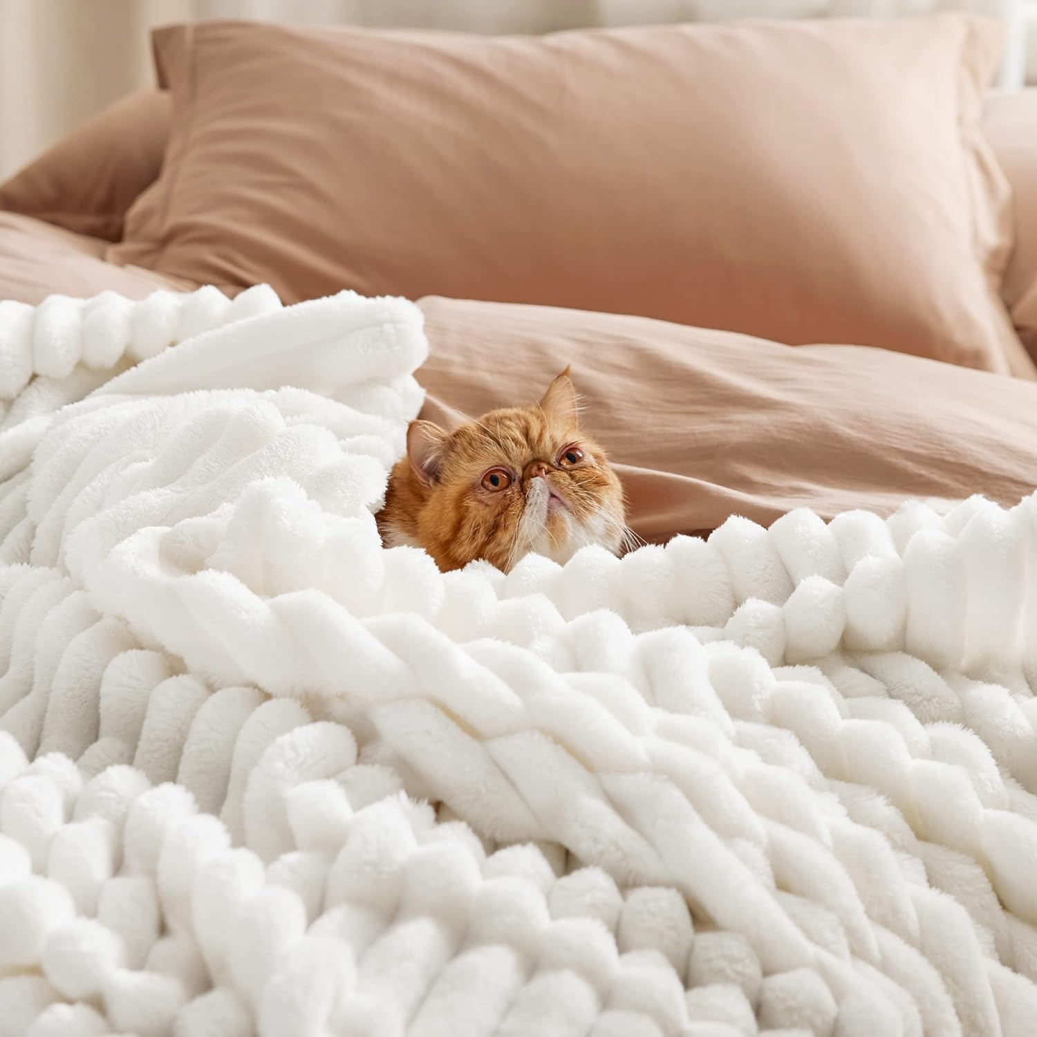 Bedsure GentleSoft Throw Blanket