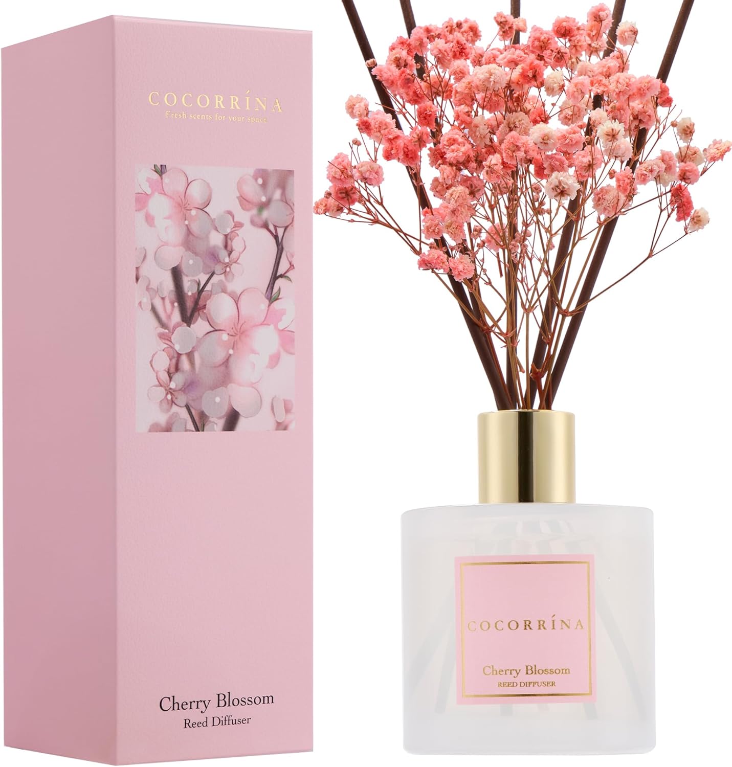 Cocorrína Reed Diffuser Set