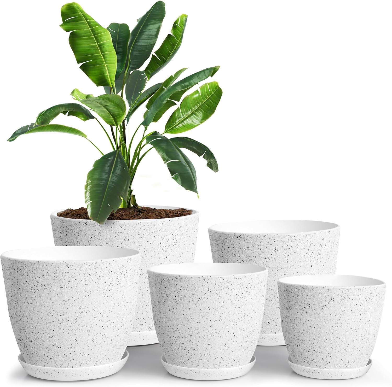 Utopia Home Plant Pots Indoor with Drainage Holes