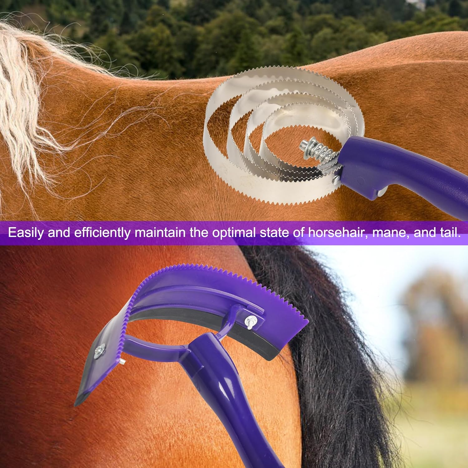 Horse Grooming Kit Bathing Supplies with Organize Bag