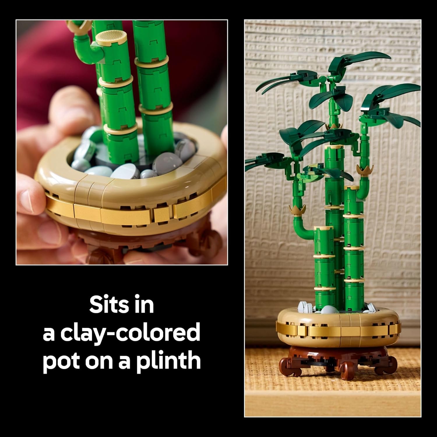 LEGO Botanicals Lucky Bamboo Building Set