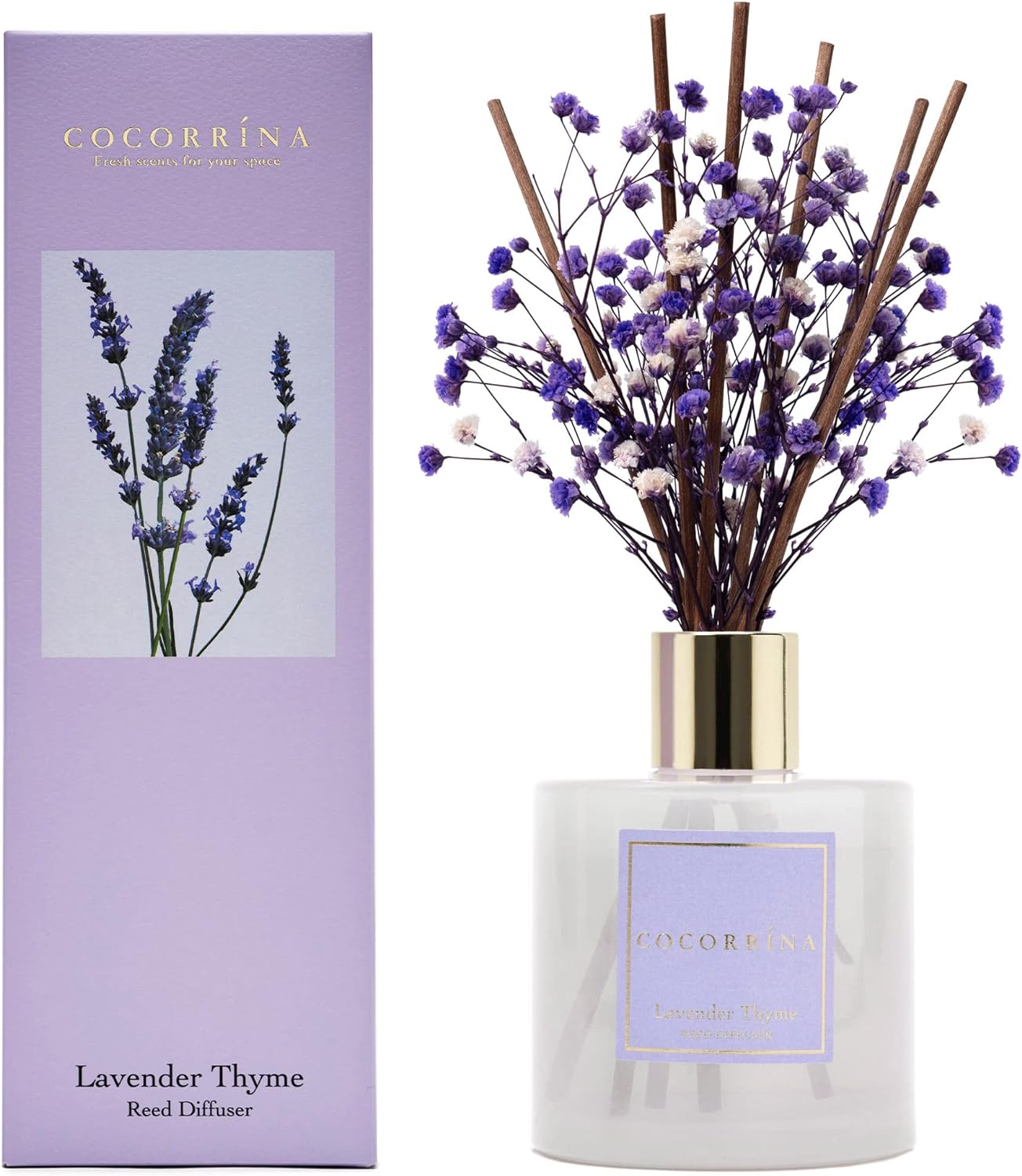Cocorrína Reed Diffuser Set