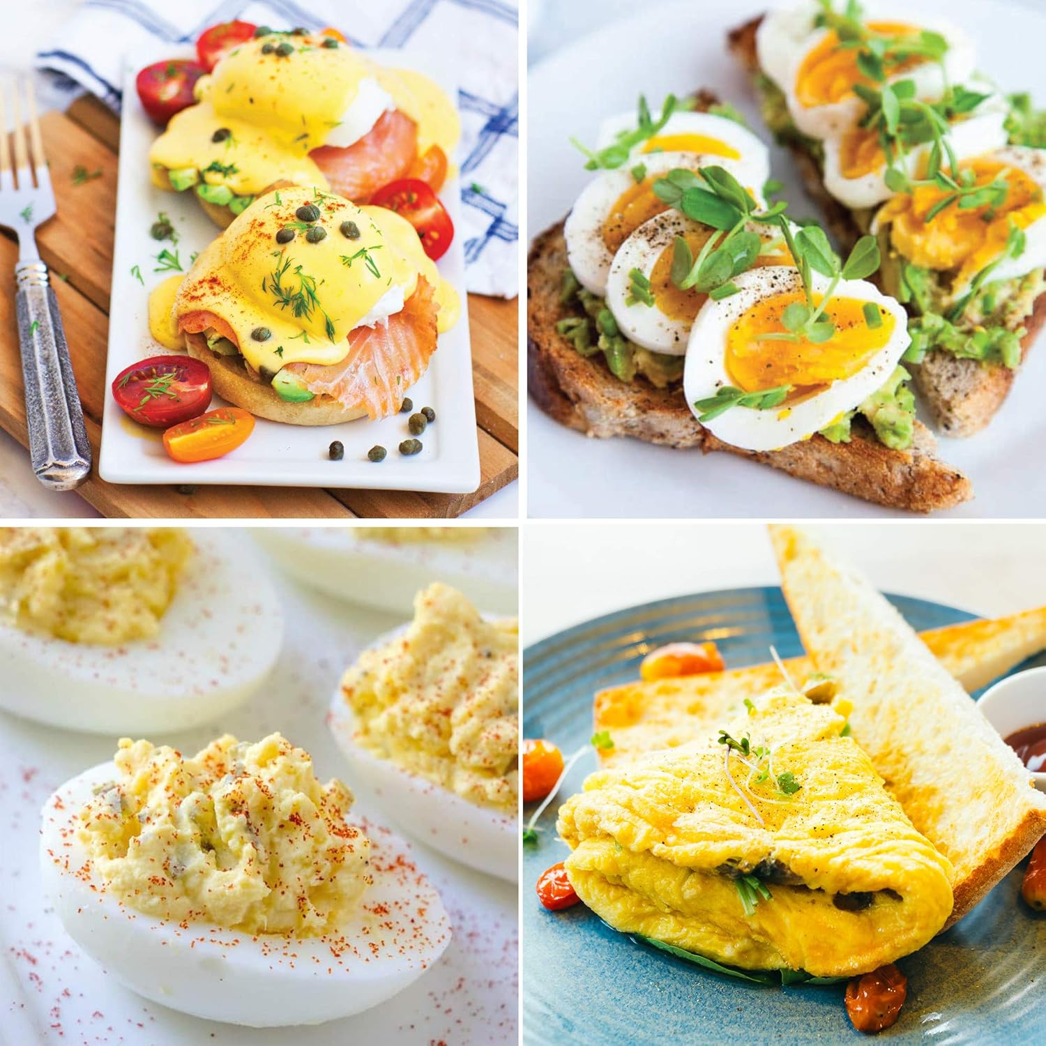 Elite Gourmet Rapid Egg Cooker