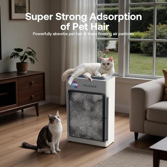 Large Room Air Purifier for Cats & Dogs