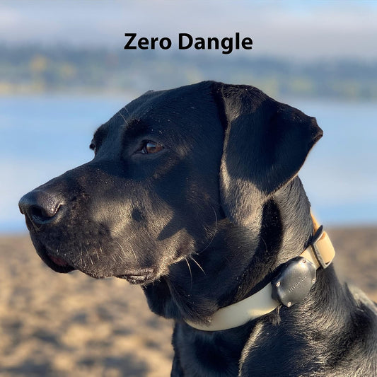 Elevation Lab TagVault AirTag Dog Collar Mount